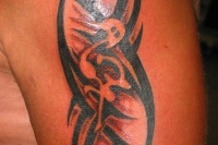 tribal_maori_1